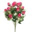 ROSEBUD X18 BUSH 50CM BEAUTY