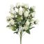 ROSEBUD X18 BUSH 50CM CREAM