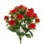 ROSE X18 BUSH 51CM RED