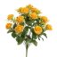 ROSE X18 BUSH 51CM YELLOW