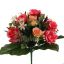 ROSE X24 BUSH 38CM BEAUTY