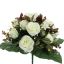ROSE X24 BUSH 38CM CREAM
