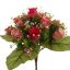 ROSE X22 BUSH 38CM BEAUTY