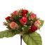 ROSE X22 BUSH 38CM RED PINK