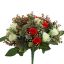 ROSEBUD X36 BUSH 38CM CREAM RED