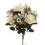 CYMBIDIUM ROSE BUSH 50CM CREAM