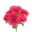 SPIDER MUM BUSH 55CM BEAUTY