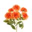 DAHLIA BUSH 45CM ORANGE