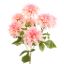 DAHLIA BUSH 45CM PINK