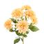 DAHLIA BUSH 45CM YELLOW