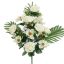 ROSE MAGNOLIA X18 BUSH 60CM CREAM