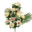 ROSE MAGNOLIA X18 BUSH 60CM PEACH