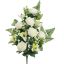 ROSE CYMBIDIUM X18 BUSH 60CM CREAM