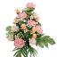 ROSE LILY X24 BUSH 62CM PINK