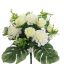 ZINNIA ROSE X18 BUSH 36CM CREAM