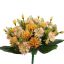 MUM MARIGOLD X24 BUSH 36CM PEACH