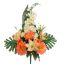 DAHLIA DELPHINIUM X14 BUSH 60CM ORANGE