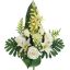 ROSE CYMBIDIUM X14 BUSH 60CM CREAM
