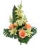 ROSE CYMBIDIUM X14 BUSH 60CM SALMON