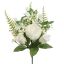 ROSE PEONY X6 BUSH 37CM CREAM