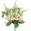 ROSE LILY X6 BUSH 37CM CREAM