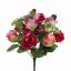 DOGWOOD ROSE X13 BUSH 34CM BEAUTY