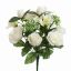 DOGWOOD ROSE X13 BUSH 34CM CREAM