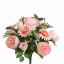 PEONY ROSE X24 BUSH 42CM PINK