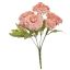 ZINNIA BUSH X 7 28CM PINK