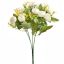 RANUNCULUS BUSH X5 30CM CREAM