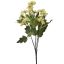 MINI DAISY BUSH 35CM GREEN