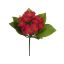 NERIUM BUSH X 5 23CM BEAUTY