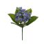 NERIUM BUSH X 5 23CM BLUE