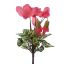 CYCLAMEN BUSH X 7 23CM BEAUTY