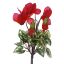CYCLAMEN BUSH X 7 23CM RED