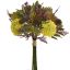 DAHLIA THISTLE BUNDLE 35CM YELLOW