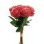 ROSEBUD X9 BUNDLE 36CM BEAUTY