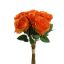 ROSEBUD X9 BUNDLE 36CM ORANGE