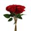 ROSEBUD X9 BUNDLE 36CM RED