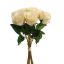 ROSEBUD X9 BUNDLE 36CM VANILLE
