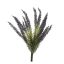 FOXTAIL BUSH X 9 36CM PURPLE