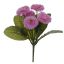 BELLIS BUSH X 5 21CM LAVENDER