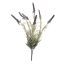 LAVENDER BUSH X 7 44CM BLUE