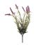 LAVENDER BUSH X 7 44CM LAVENDER