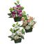 ROSE/ORCHID ARRANGEMENT IN RECT. POT 45CM ASSORTED