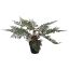 FERN 38 CM IN POT 38CM GREEN