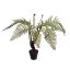 FERN PLANT 71CM IN POT GREEN