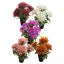 SPIDER MUM X5 IN POT 30CM ASSORTED