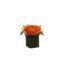 ROSE HEAD ON LEAVES POT 8CM ORANGE