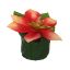 POINSETTIA HEAD ON LEAVES POT 6CM SALMON
